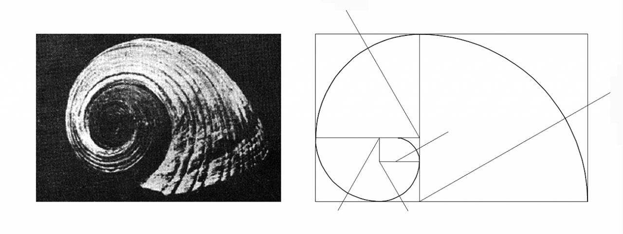 Η αφορμή και η δομή της σύνθεσης